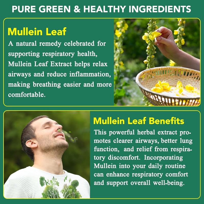 60 Count Mullein Gummies for Lung Cleanse, 2000mg Organic Mullein Leaf Extract f gallery