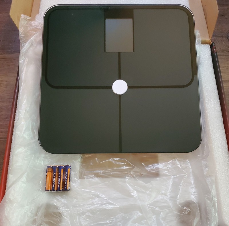 RunStar FI2019LB-G Smart Body Fat Scale Bluetooth BMI 400 lb Blk Batts Included