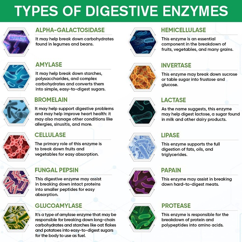 Digestive Enzymes Prebiotic & Probiotics Gas, Constipation & Bloating Relief 120 gallery