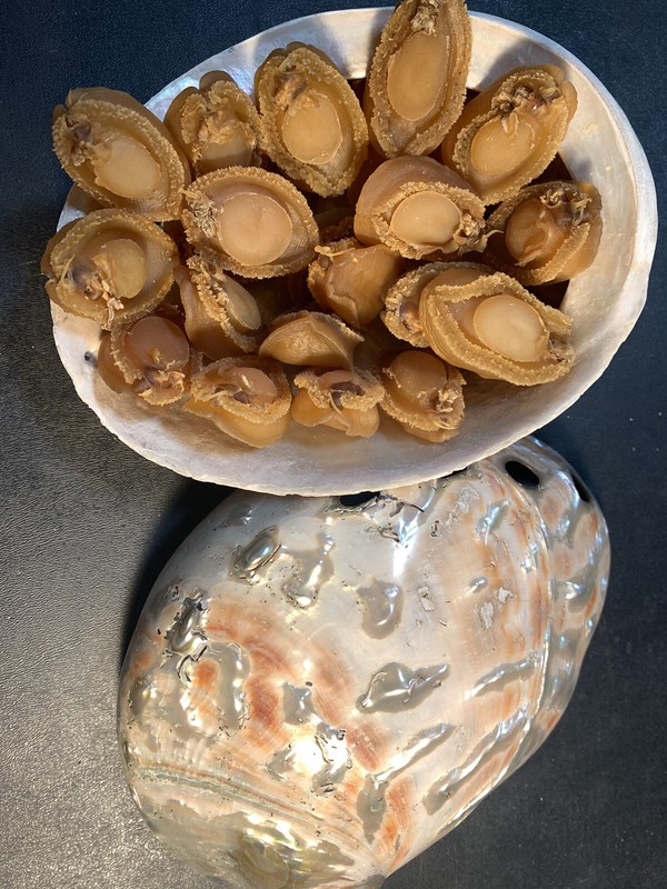 九孔鮑魚8 oz Dried small Golden Yellow Abalones premium meat for sale