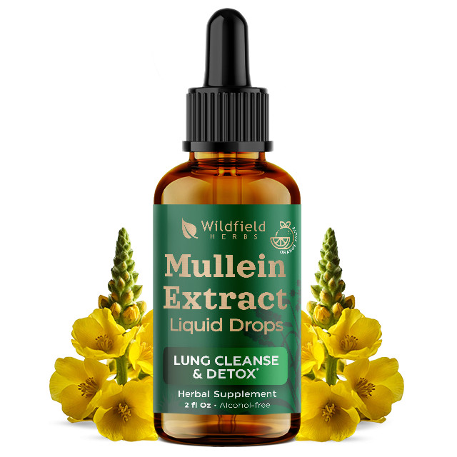 16-in-1 Mullein Extract Lung & Respiratory Support Herbal Supplement Elderberry