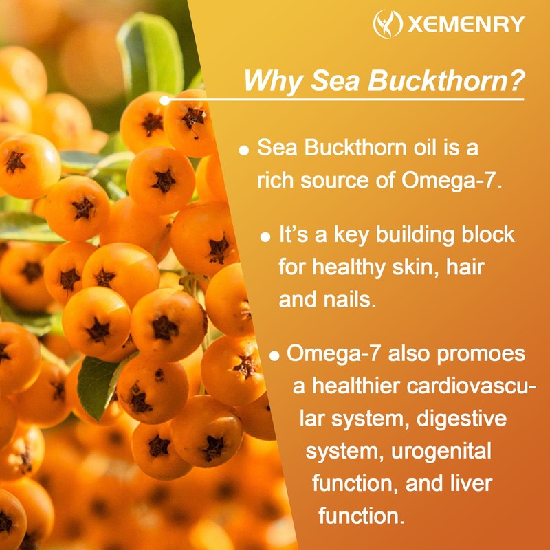Omega-7 1590mg -Sea Buckthorn Oil - for Hair, Skin, Nail & Cardiovascular Health gallery