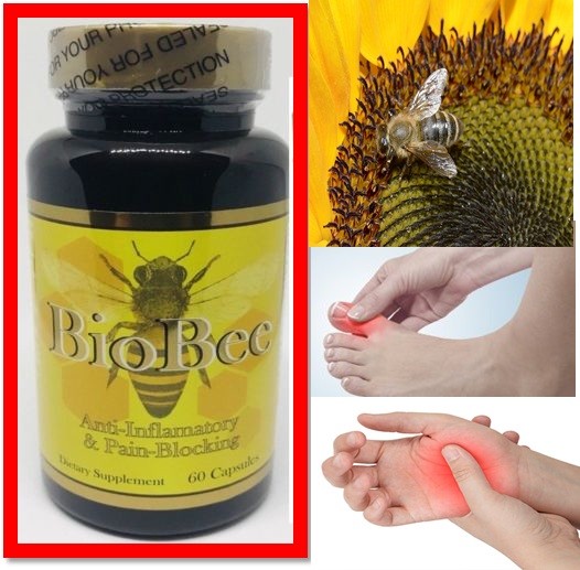 Biobee support joint support Bee Therapy Arthritis Muscle Relief Pills