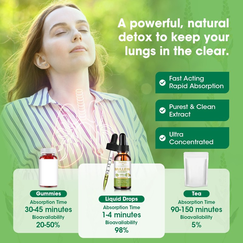 60ML Mullein drops for Lung, Mullein Leaf Extract for Lung Cleanse & Detox gallery