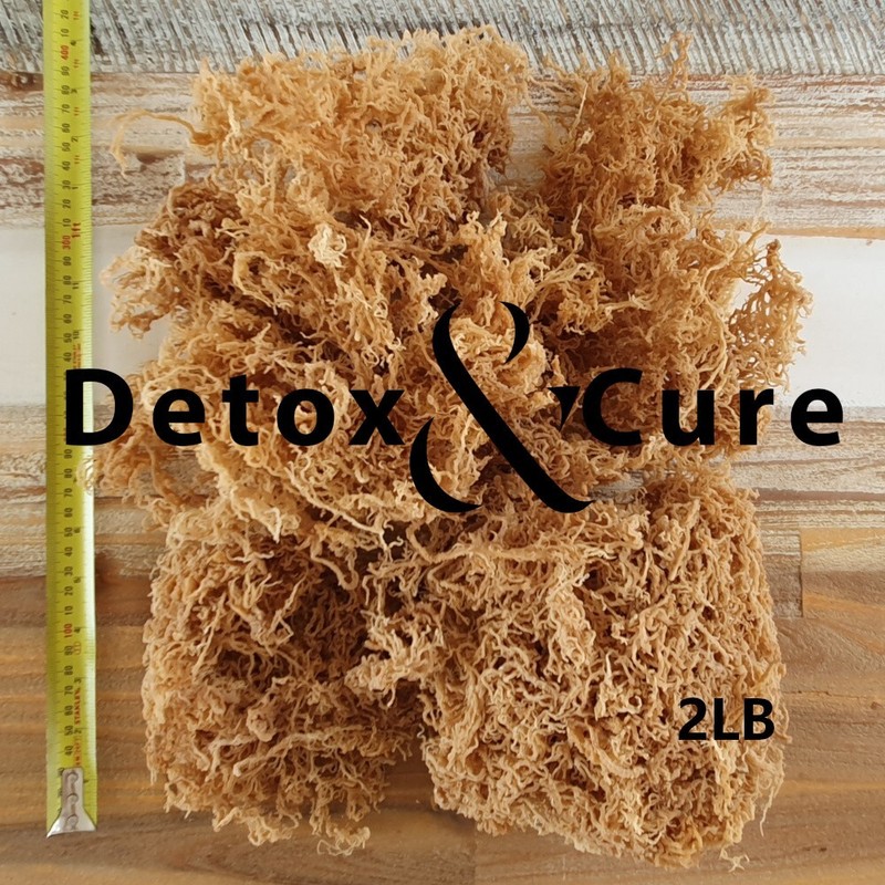 2LB Sea Moss (900g) Sustainably Ocean Harvested *FREE POSTAGE* Super Dry!